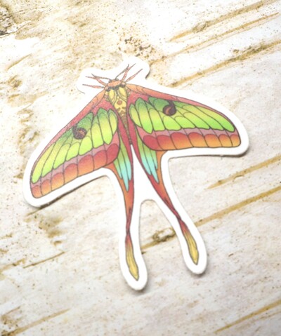Lunar Moth sticker