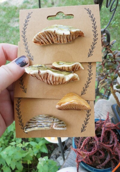 Shelf Mushroom Pin Collection