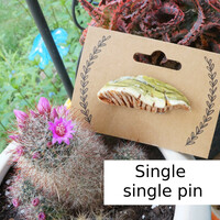 Shelf Mushroom Pin Collection - Thumbnail 1