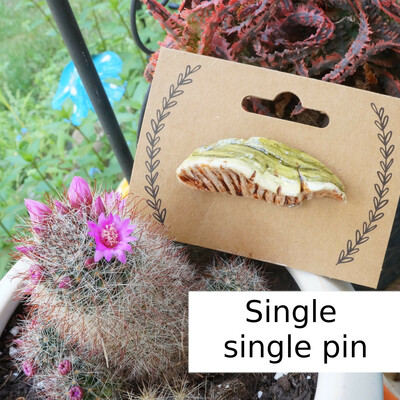 Shelf mushroom pin collection