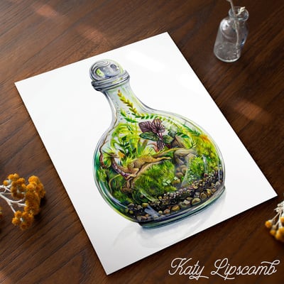 Terrarium dragon ii - print
