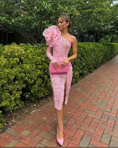 Pink Sheath 3D Handmade Flower Lace Prom Dresses Evening Gowns Formal Party Gowns