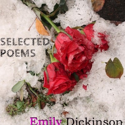 Selected poems  emily dickinson