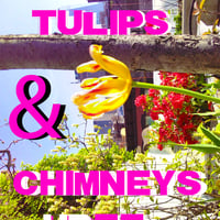 Tulips & Chimneys_ ee cummings - Thumbnail 1
