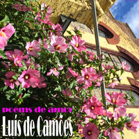 Luís de Camões - poemas de amor_ - Thumbnail 1