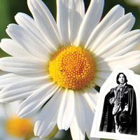  Oscar Wilde - The Selfish Giant & The Happy Prince - Thumbnail 2