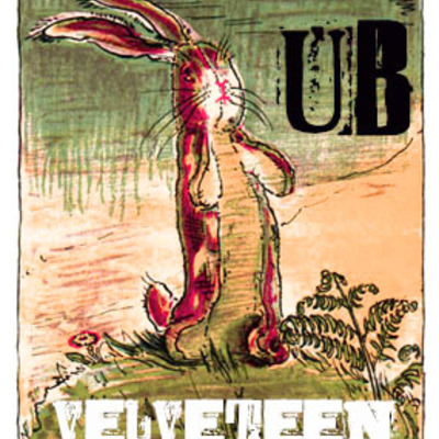 The velveteen rabbit  margery williams bianco