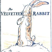 The Velveteen Rabbit_ Margery Williams Bianco - Thumbnail 1