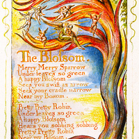 William Blake Songs of Innocence_  - Thumbnail 3