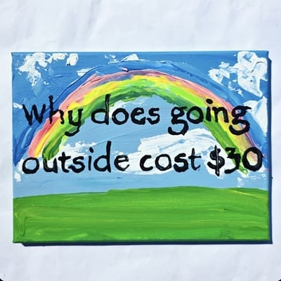 Why does going outside cost $30