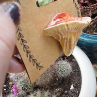 Flute Mushroom pin - Thumbnail 2