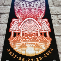 2024 Phish at Alpine Valley (Lot Limited Edition Print) - Thumbnail 6