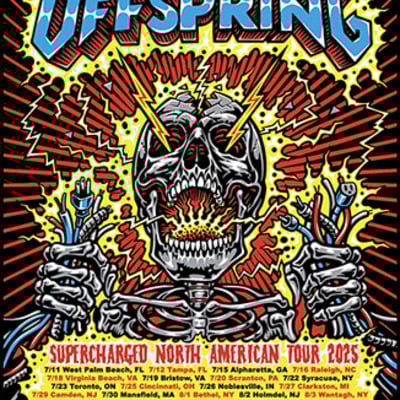 The offspring 2025 screenprinted tour poster!