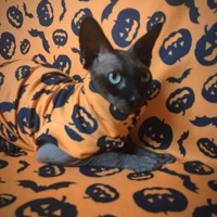 Jack-N'-Bats - Sweaterknit - Thumbnail 1