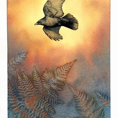 "crow and rising fern" #3 original - watercolor painting