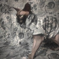 Inter-Webs - Luxe Fleece - Thumbnail 2