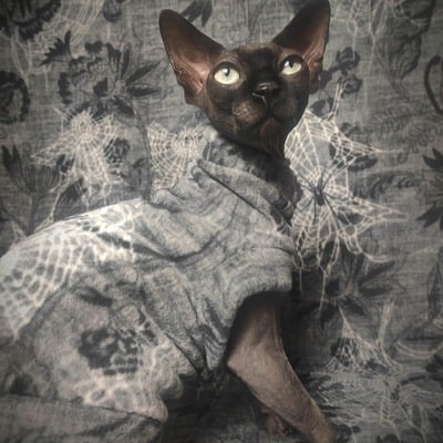 Inter-webs - luxe fleece