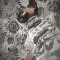 Inter-Webs - Luxe Fleece - Thumbnail 1