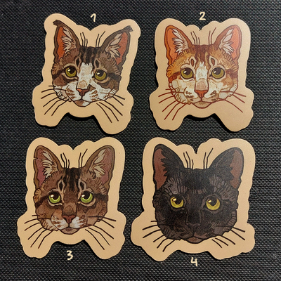 Magnets: cats