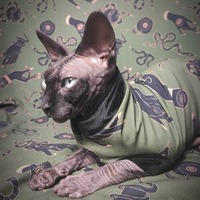 Union Of The Snake - Thumbnail 1