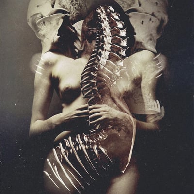 Shedding bones ii - large giclée print - 16" x 20"