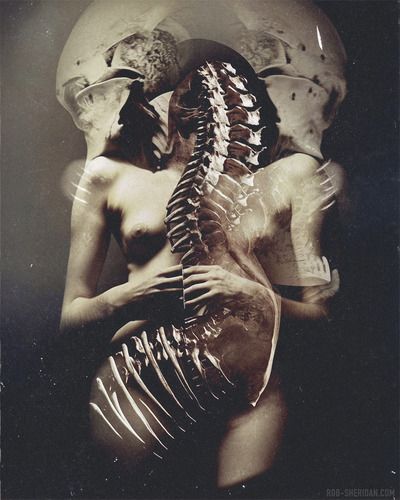 Shedding Bones II - large giclée print - 16" x 20"