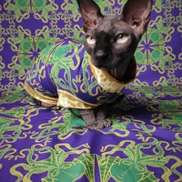 Octobatus - Thumbnail 2