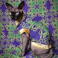 Octobatus - Thumbnail 1