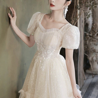 Champagne Tulle Short A-Line Prom Party Dress - Thumbnail 3