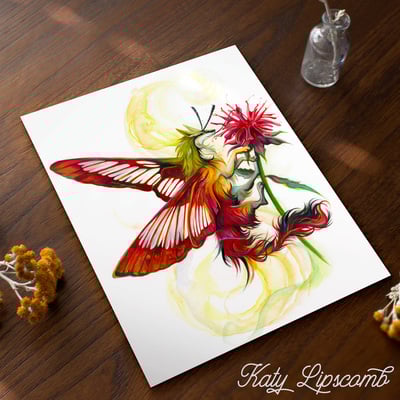Hummingbird Moth Dragon - Print