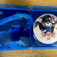 The Sound of Summer - LTD150 Japanese box - Thumbnail 6