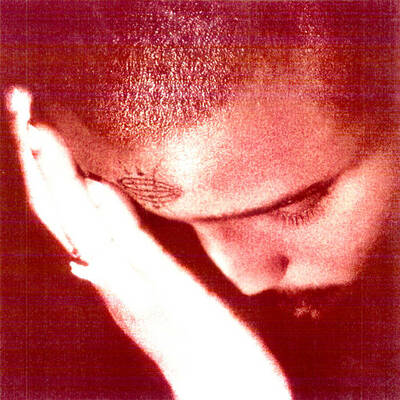 Nourished by time - passionate ones (cd)