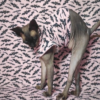 Laszlo says bat! yeezus - Thumbnail 1