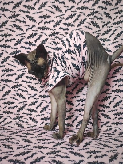 Laszlo Says Bat! Yeezus