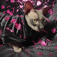 Dem Bones - Velvet - Thumbnail 1