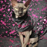 Dem Bones - Velvet - Thumbnail 2