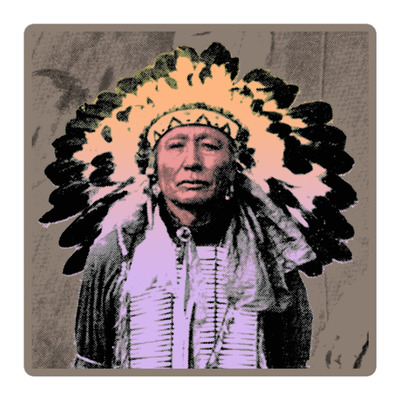 Indigenous vinyl sticker