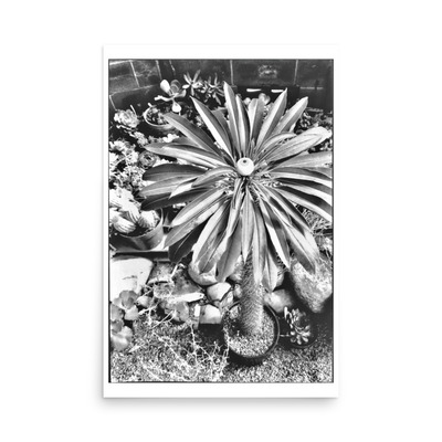 Arboretum poster 24”x36”