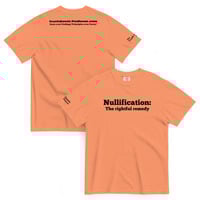 Nullification: The Rightful Remedy - Thumbnail 12
