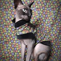 The Webs - Thumbnail 1