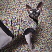 The Webs - Thumbnail 2