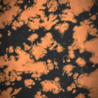 Pumpkin Patch Yeezus - Thumbnail 3