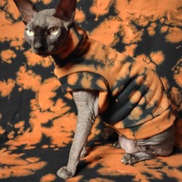 Pumpkin Patch Yeezus - Thumbnail 2