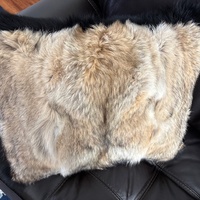 Coyote throw pillow - Thumbnail 1