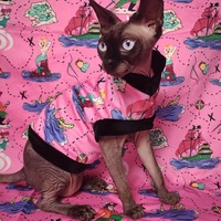 My Cat Found Neverland - Thumbnail 1