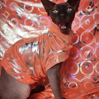 Holographic Halloween Camo - Thumbnail 1