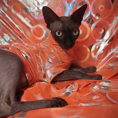 Holographic halloween camo