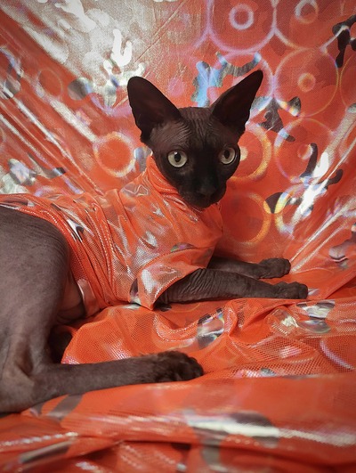 Holographic Halloween Camo