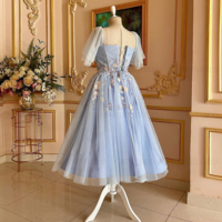 Elegant Applique Sky Blue A-Line Formal Occasion Dress - Thumbnail 1