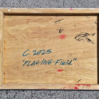 Playing Field - Thumbnail 1